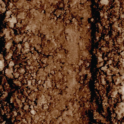 darkbrown3 Пудра за вежди theBalm Brow Pow