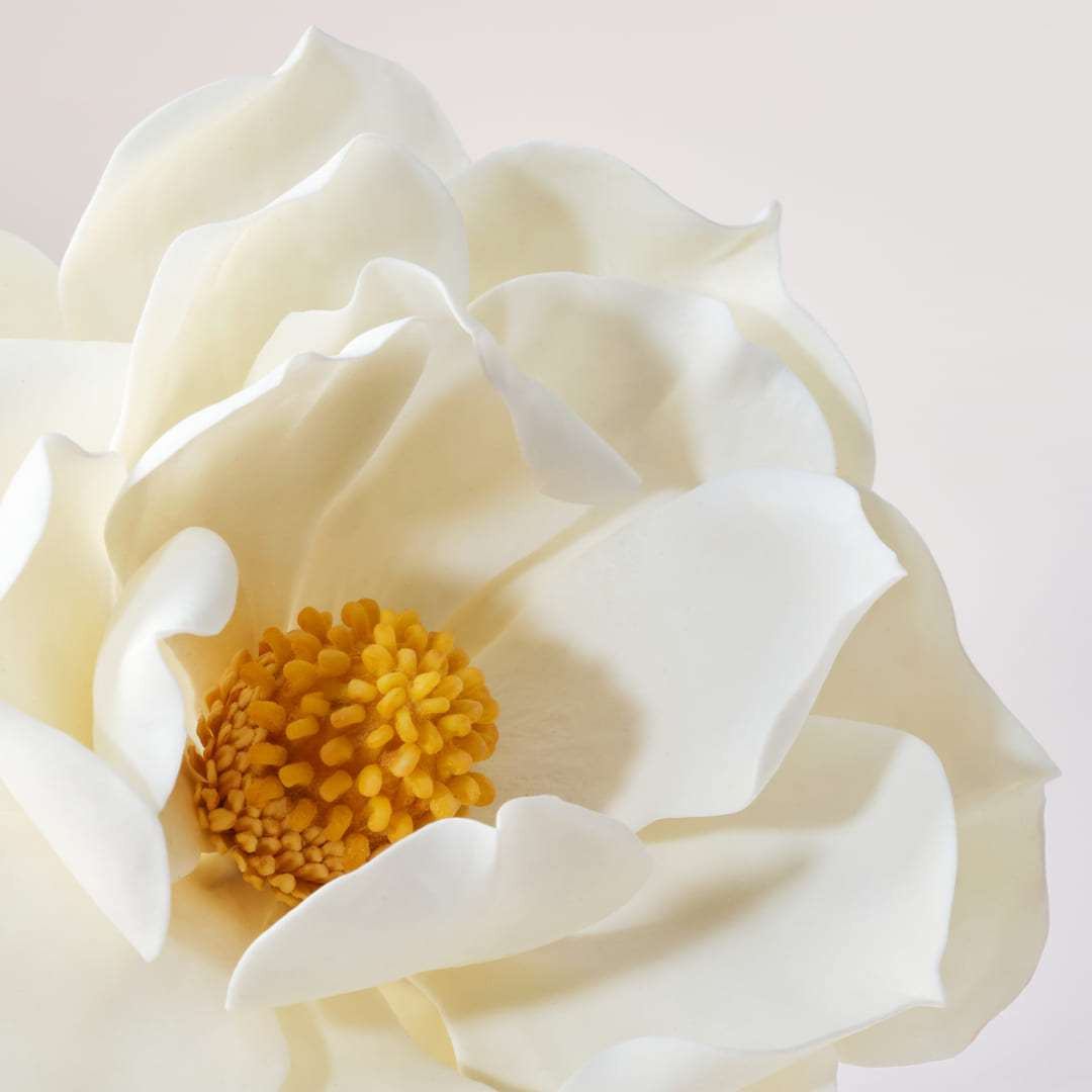 pv supreme jeunesse le masque 50ml 2 Анти-ейдж маска за зряла кожа PAYOT SUPREME JEUNESSE LE MASQUE