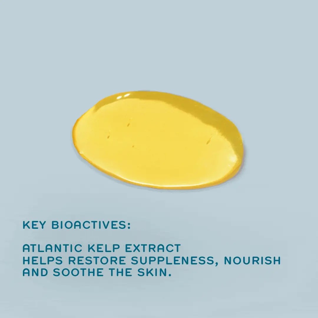 renskincareuk atlantic kelp and microalgae anti fatigue bath oil Подхранващо масло за вана против умора Atlantic Kelp And Magnesium Salt Anti-Fatigue Bath Oil RENос 110ml
