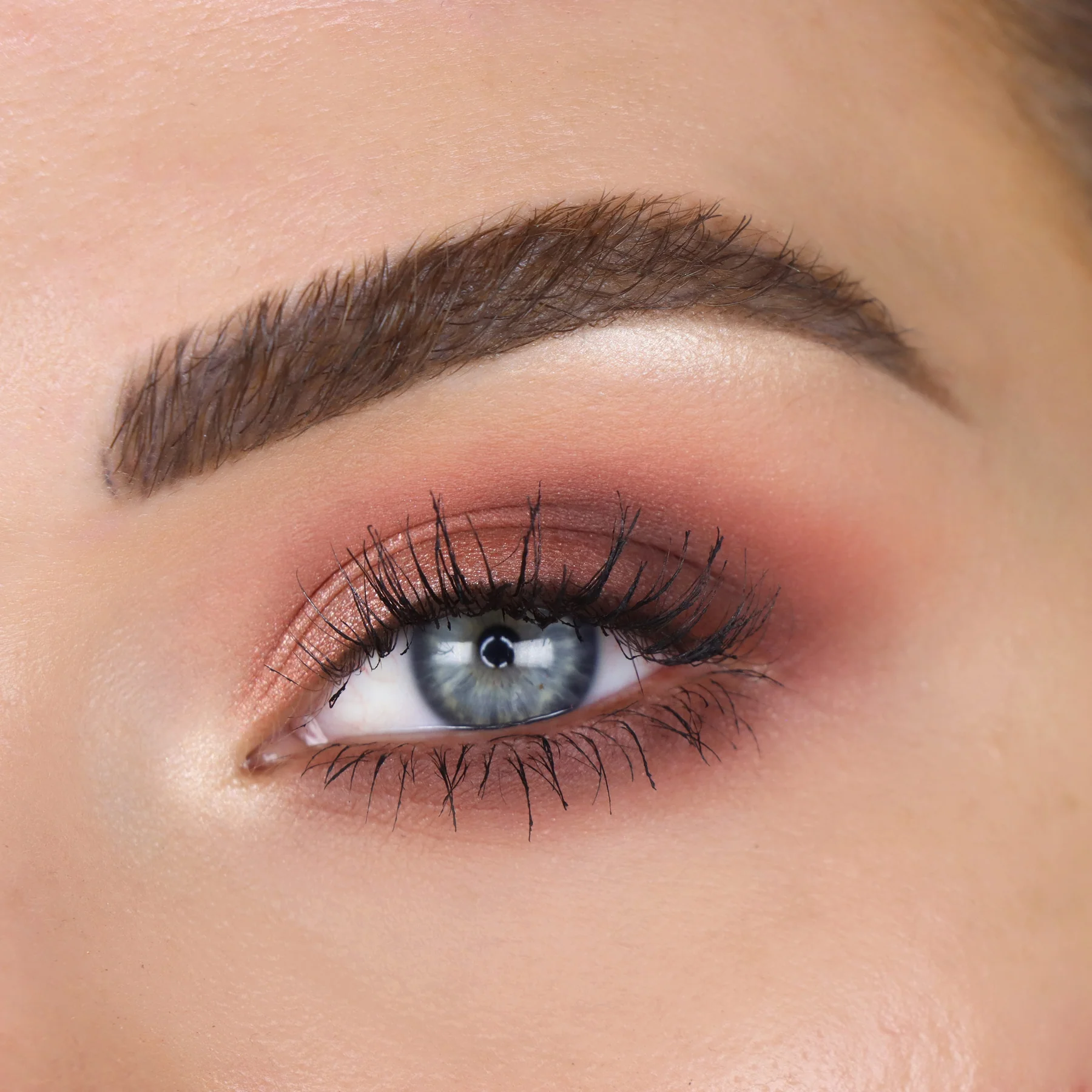 mo domestic model Палитра сенки за очи theBalm Male Order Domestic Male