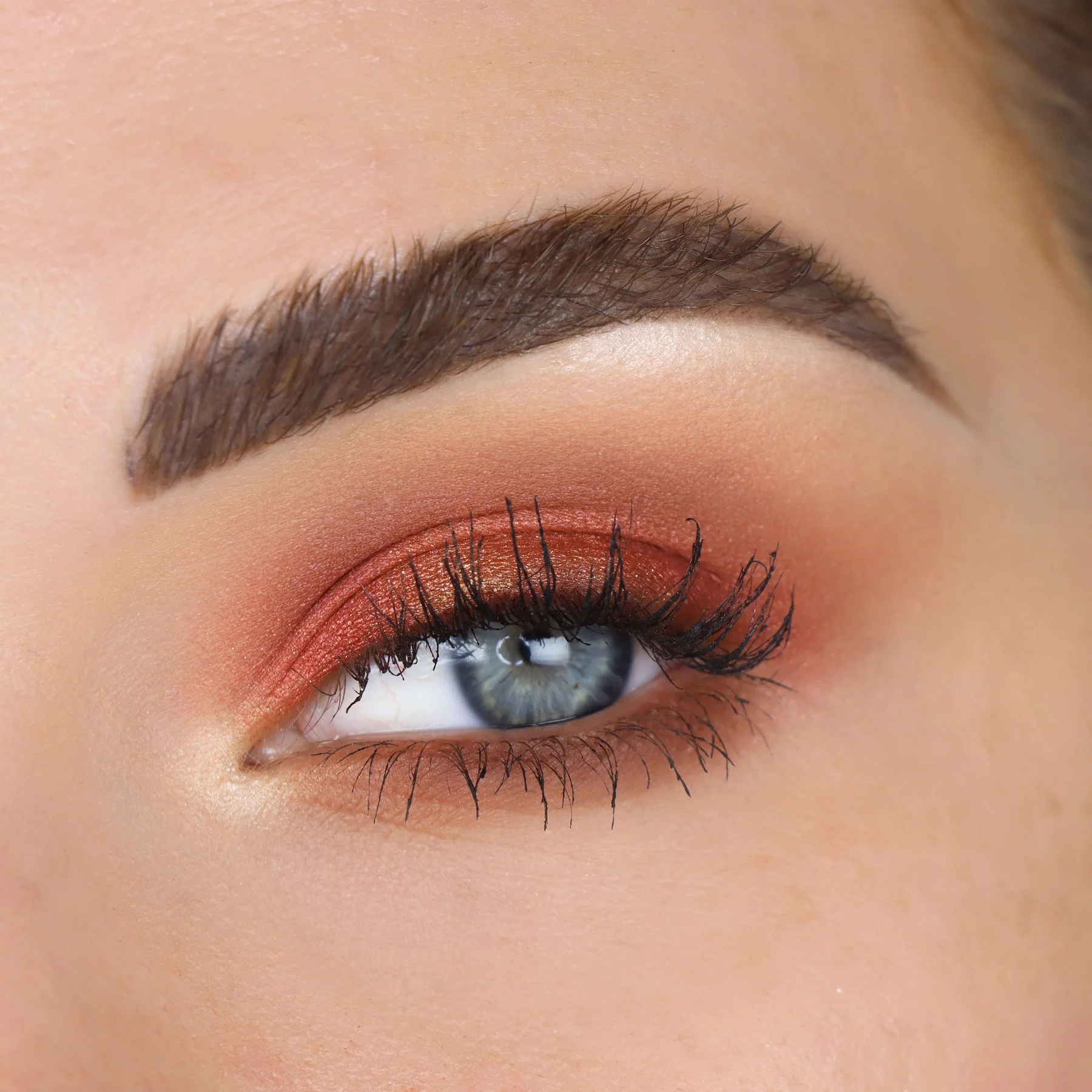 Палитра сенки за очи theBalm Male Order First Class Male