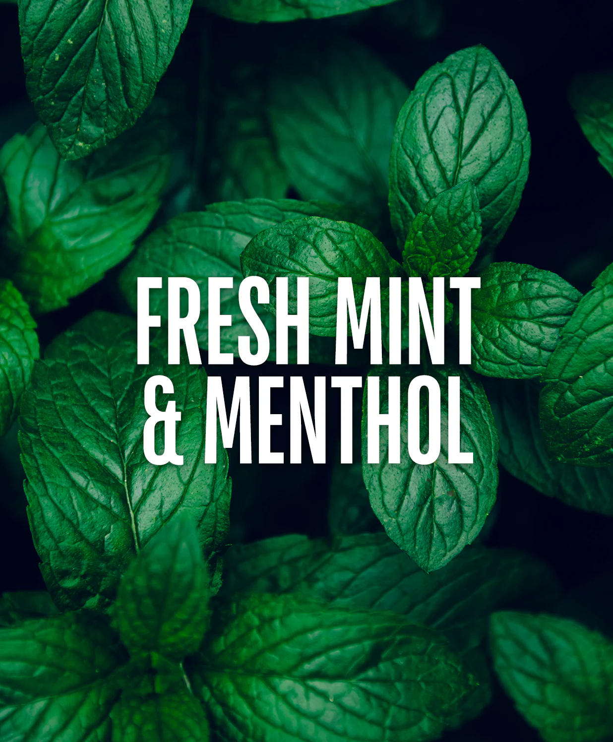 x23 1154 go247 websiteupdate ppagemintthickeningshampoo 6 Уплътняващ мъжки шампоан Unite GO 24.7 Mint Thickening Shampoo