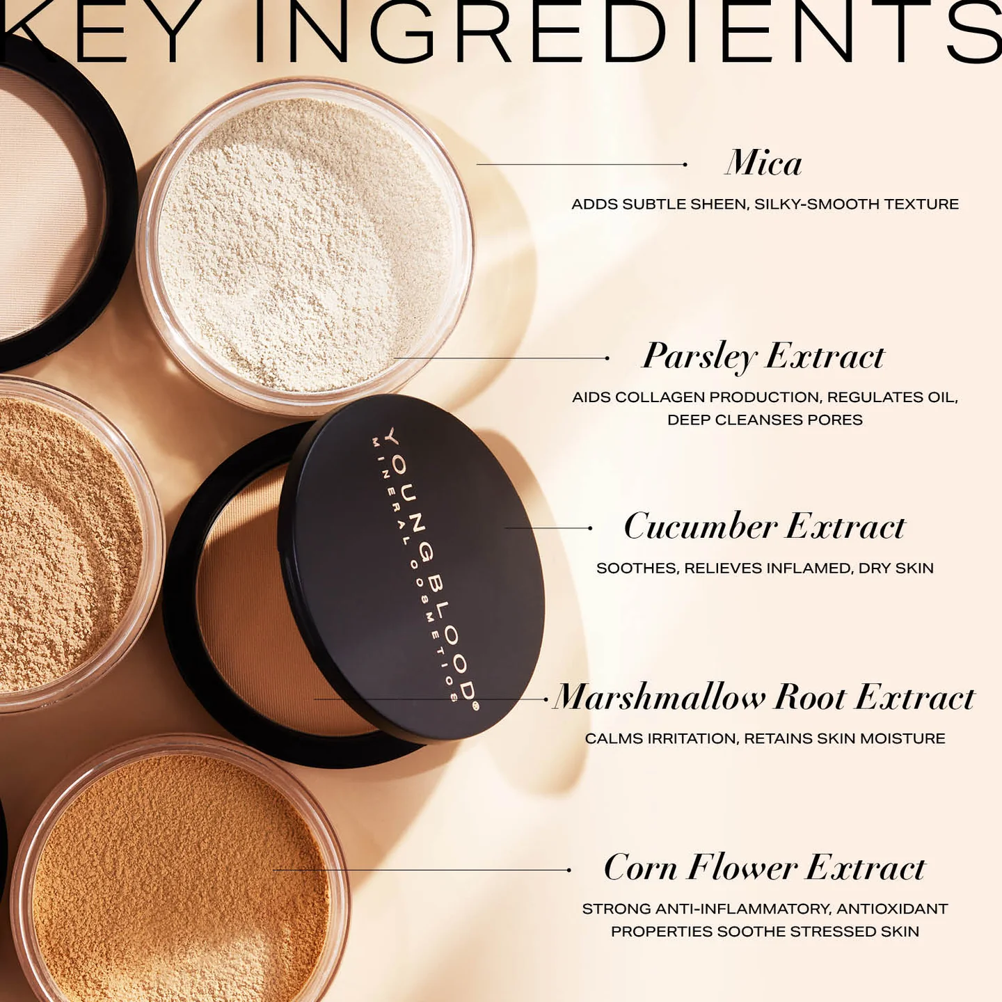 LooseMineralRiceSettingPowder Минерална пудра Youngblood Loose Mineral Rice Powder